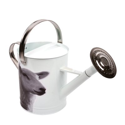 Regadera Metalica Animales de Granja Blanco y Negro